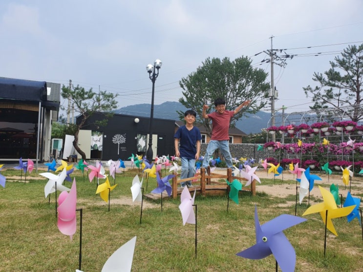 양주 분위기 좋은 카페 식물정원 주말 나들이 가볼만한곳