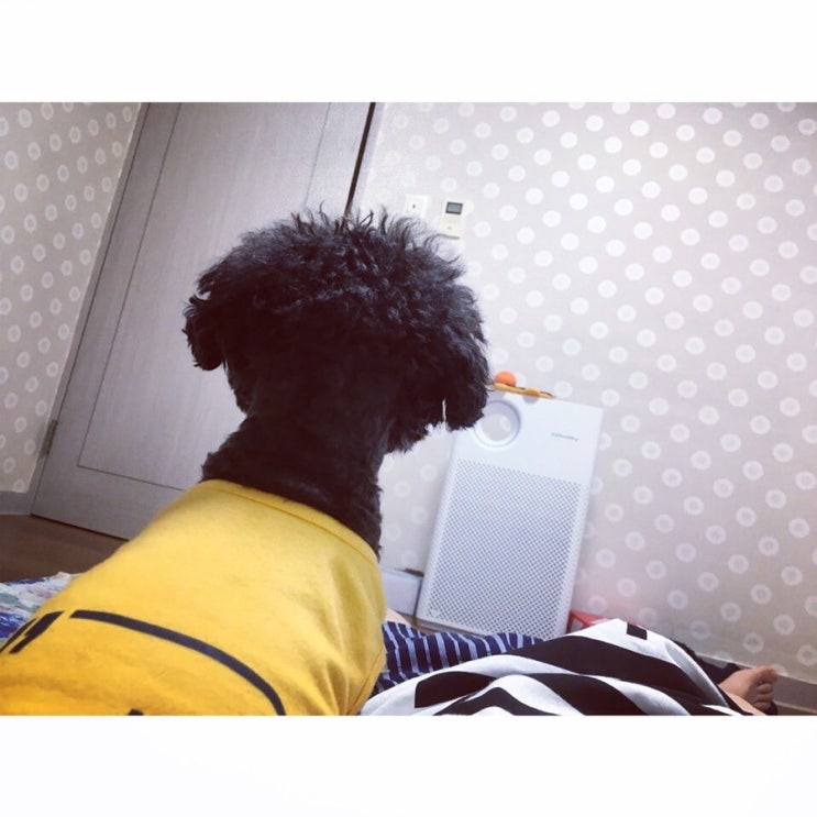  2020.07.09 일상기록