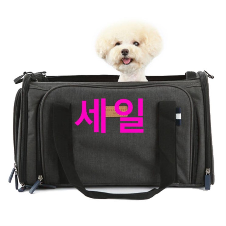 오늘자 디스카운트 에이미러브즈펫 창캐리어! 그렇게 좋다며? 오늘자 디스카운트 에이미러브즈펫 창캐리어! 그렇게 좋다며?