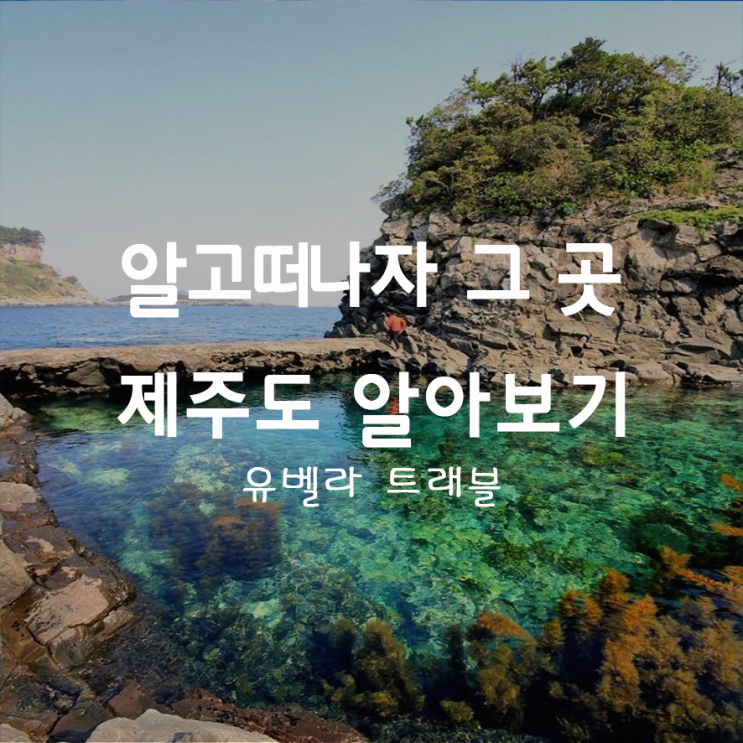  32. 한국에서 제일 핫 한 섬 "제주도"