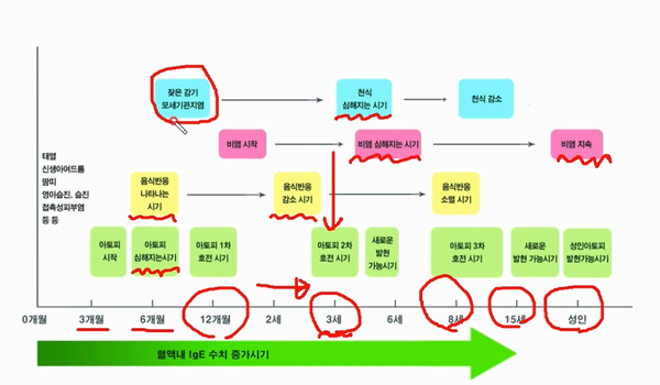 아기 착상 시기와 아기 아토피 원인에 2