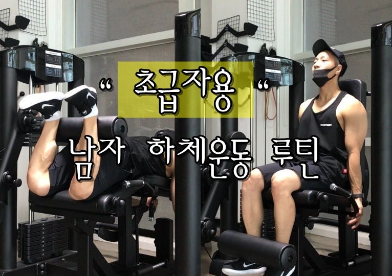 남자 하체운동 루틴 (스쿼트, 레그익스텐션, 레그컬) : 네이버 블로그 남자 하체운동 루틴 (스쿼트, 레그익스텐션, 레그컬) : 네이버 블로그