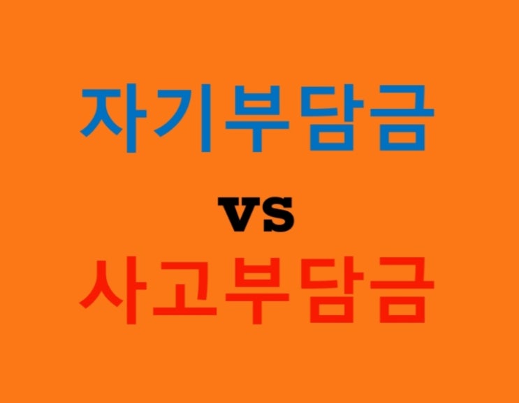  자기부담금 vs 사고부담금