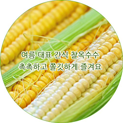  신선한 찰옥수수와 초당옥수수! 고르기부터 맛있게 삶는법과 삶는시간, 찌는법 그리고 보관법까지 한번에!