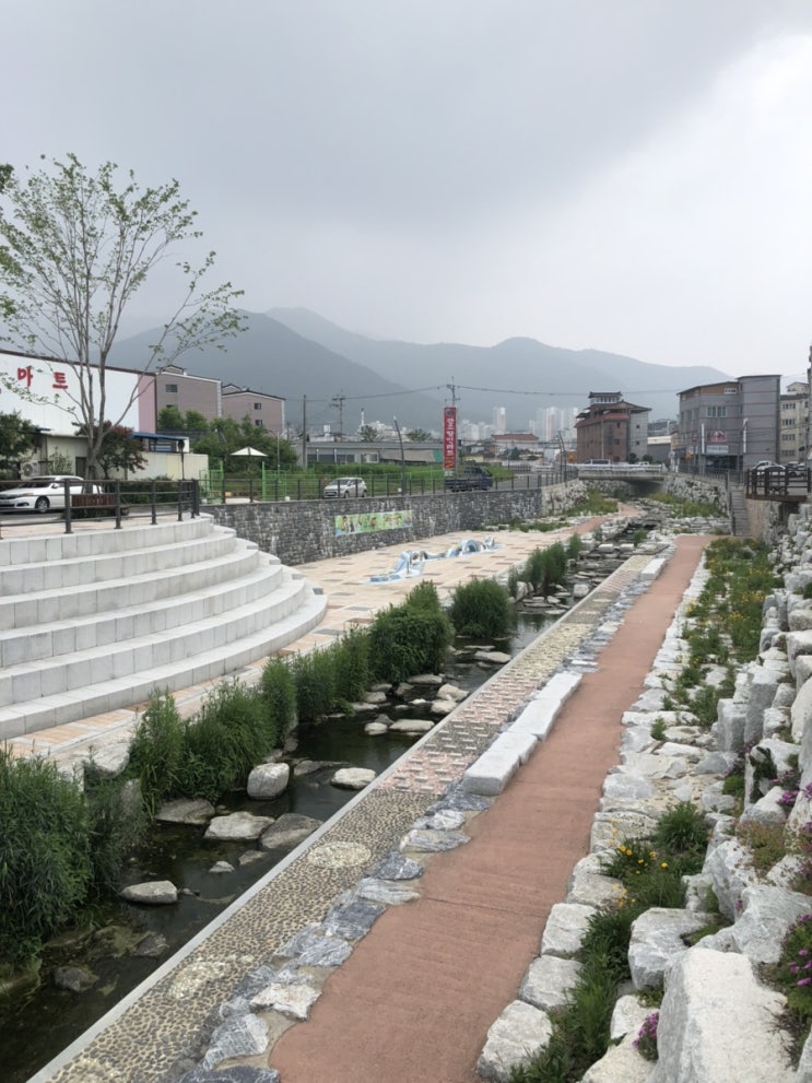 창녕 답사 후기 [아동학대 이유, 책임, 해결책/대구 지하철 참사]