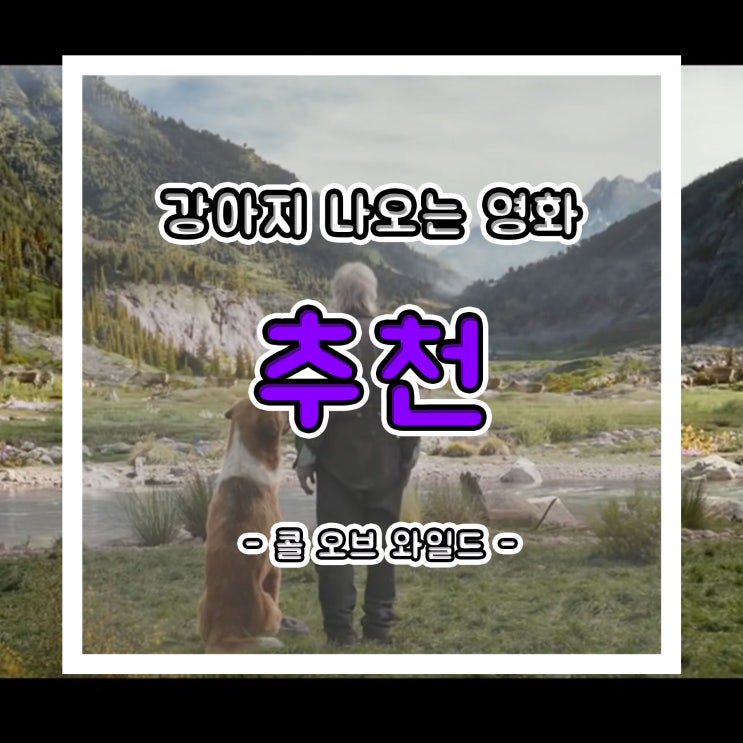  강아지 나오는 영화!! 콜 오브 와일드 리뷰