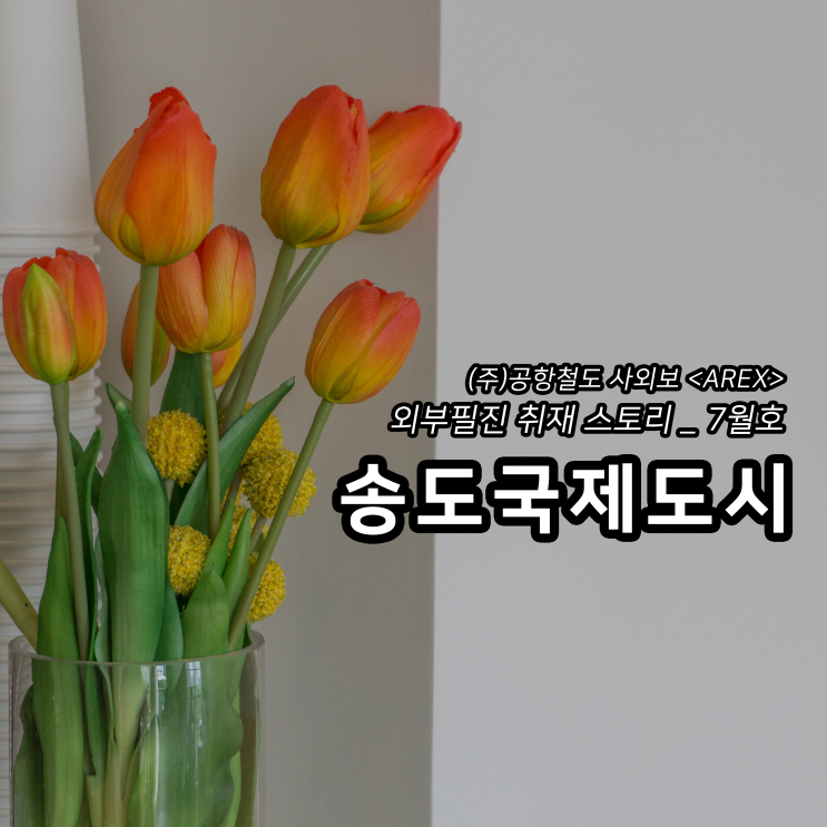  [AREX] 송도 국제도시 취재 이야기