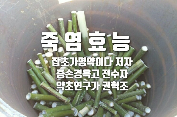  죽염효능