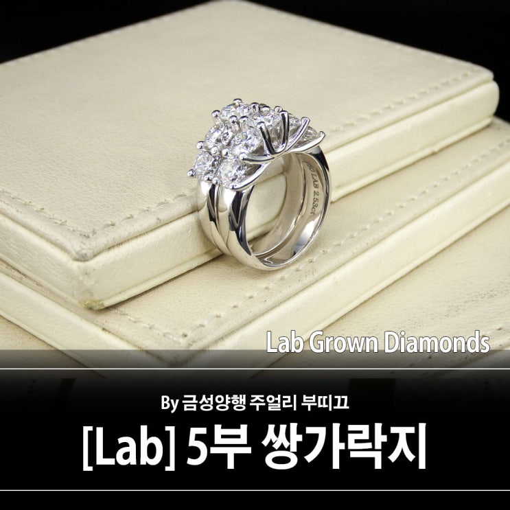 [Lab] 랩그로운 5부 다이아몬드 쌍가락지 - 트렐리스 1단 디자인