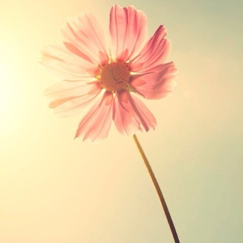 있다(I exist)