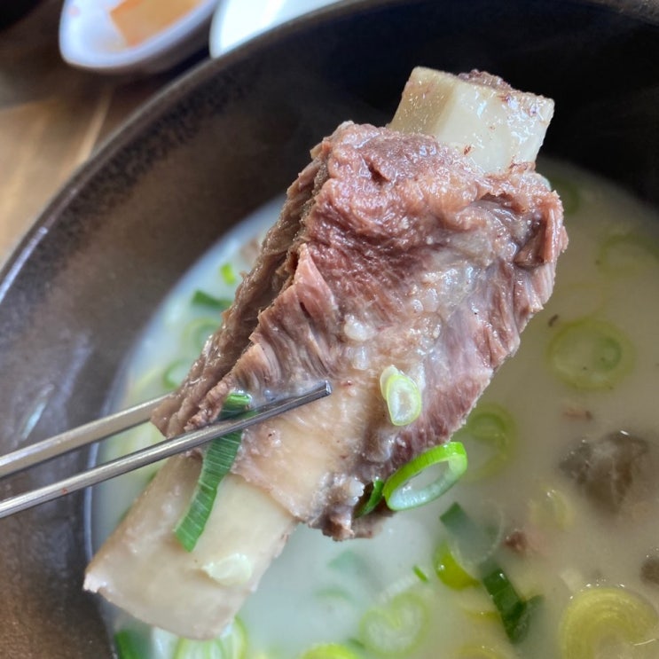  경기 포천 허브아일랜드 데이트 곰탕 맛집 뚱돌솥곰탕 다녀온 후기