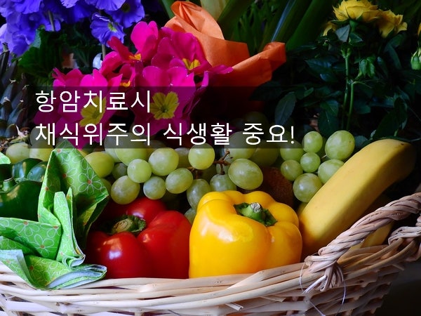 암 치료에 좋은 식품과 사력을 키우자 [AHCC박사] 3