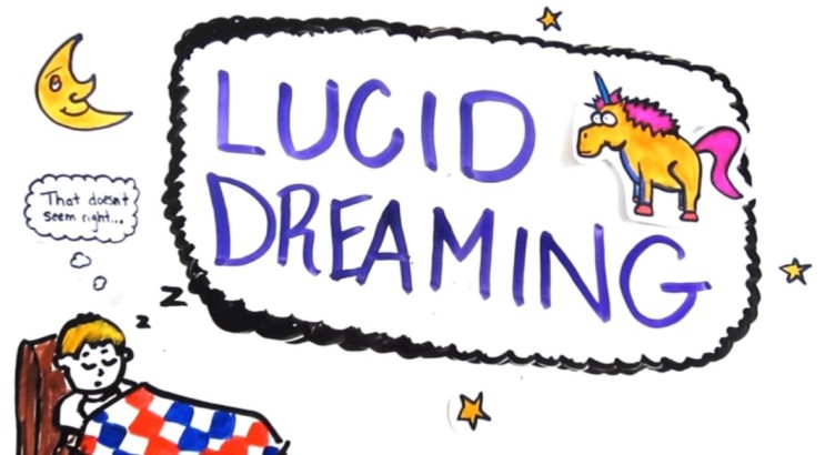 TED-Ed 속독] 2주차-2: The Science of Lucid Dreaming