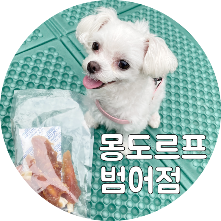  대구강아지용품 수성구 몽도르프범어점