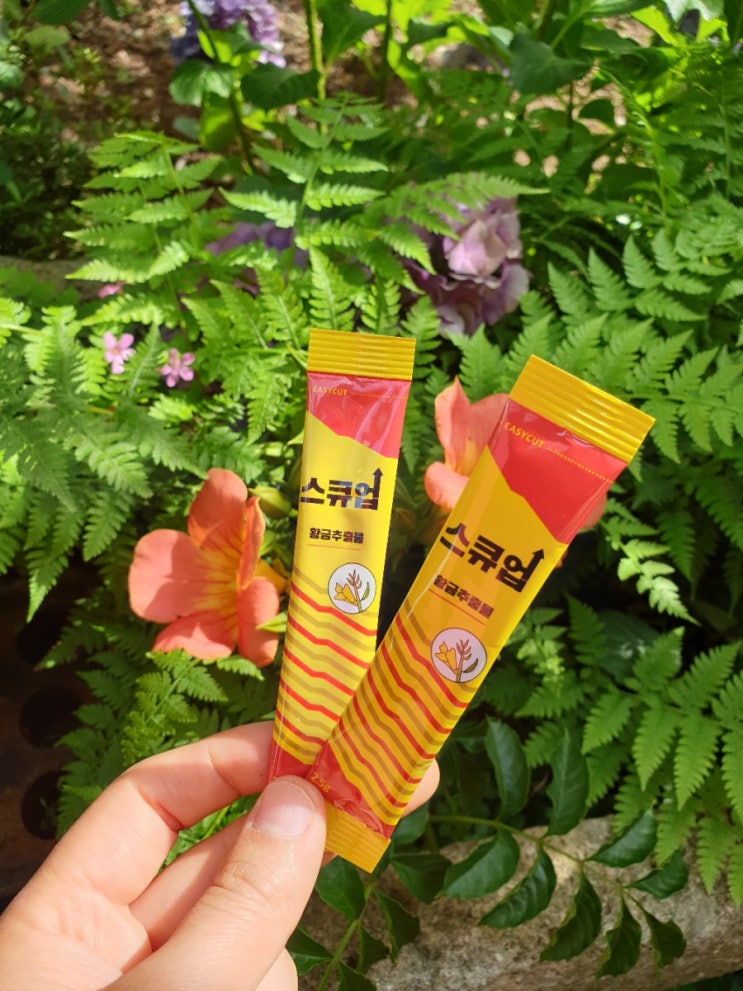  남자 원기충전 영양제!~ 남성에너지부스터!! 스큐업!!
