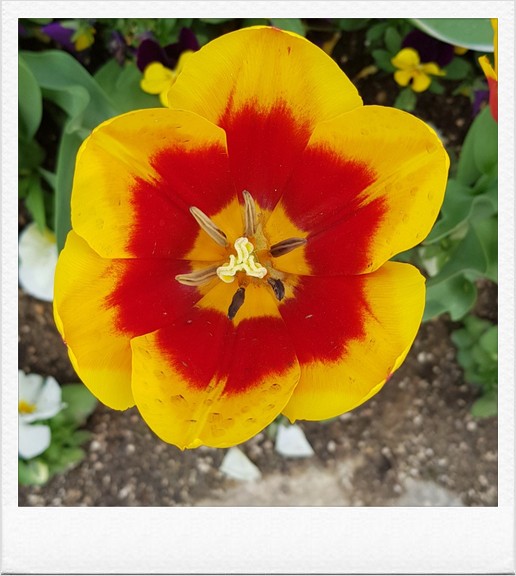  괜히 견디지 마세요
