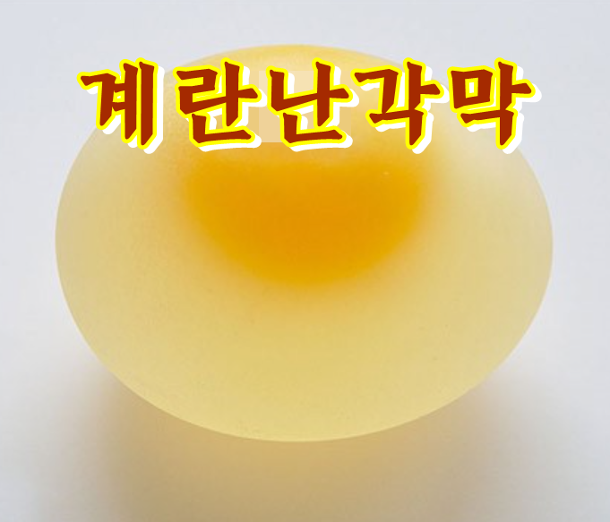  계란삶을때 식초, 소금 넣은 이유 아세요?