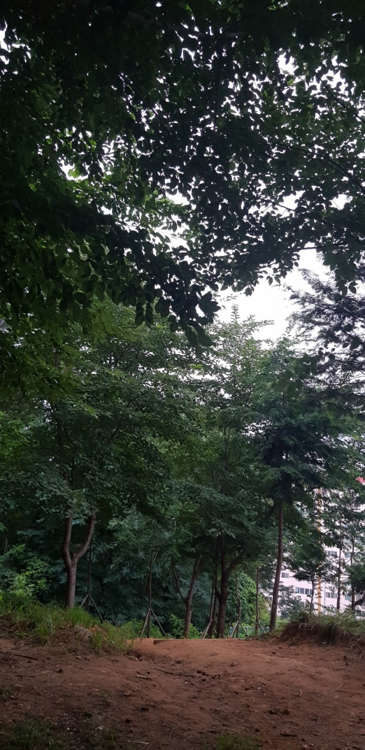  장마철 만보걷기 힘들어요
