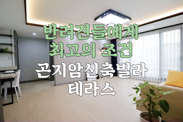  반려견들에게 가장 좋은 조건의 넓은 1층 테라스 매물 보너스공간은 덤! 곤지암 신축빌라