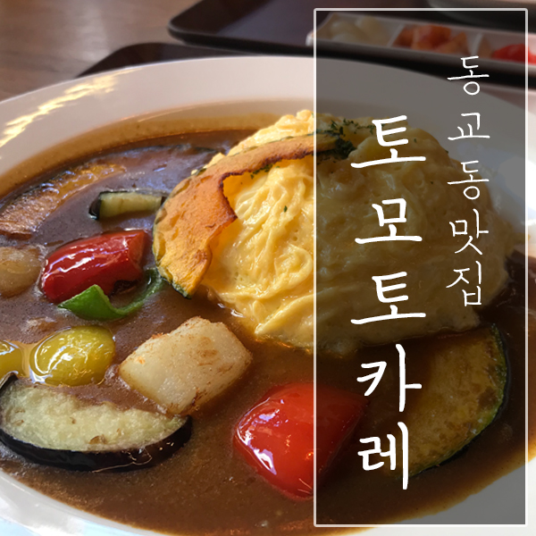  [서울 마포구 / 동교동 맛집] "토모토카레" - 무난하게 먹기 좋은 홍대 카레!