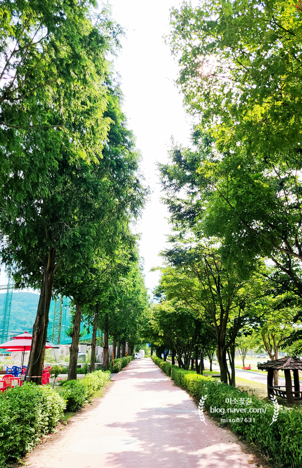  [topresso] 합천 황강 카페 토프레소 정양레포츠공원 바로앞