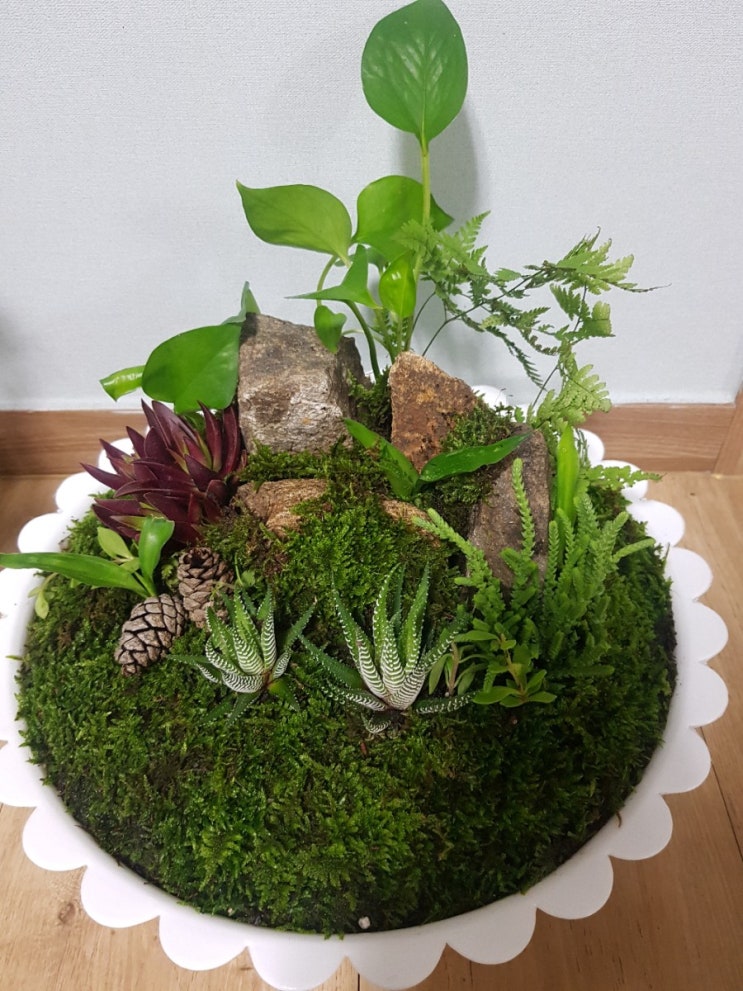 서울대공원 캠핑장에서 얻은 장식품
