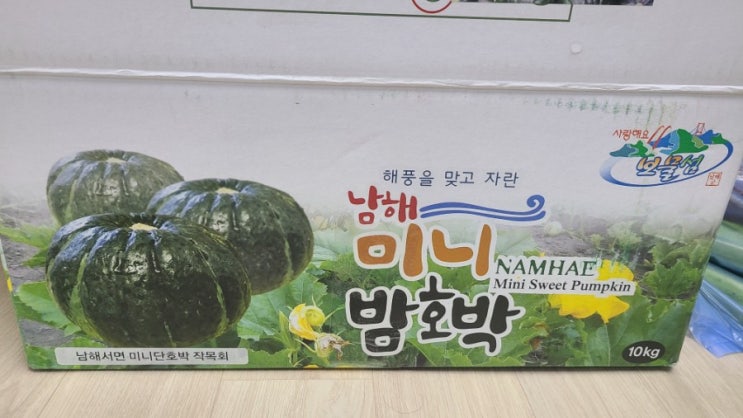  미니 단호박