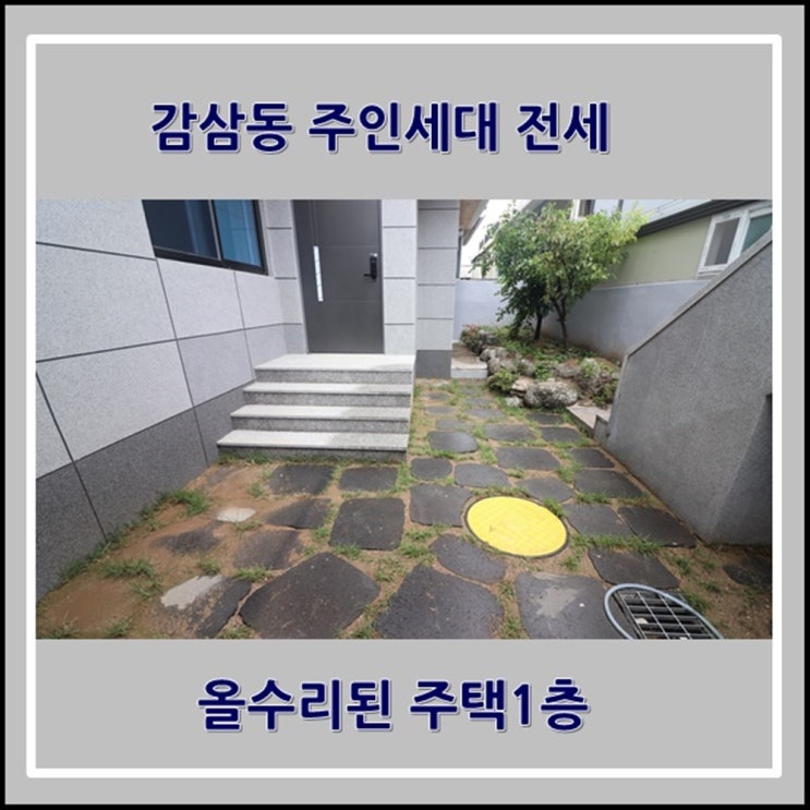  감삼동 주인세대 전세 올수리된 주택1층이라 텃밭도 있어요