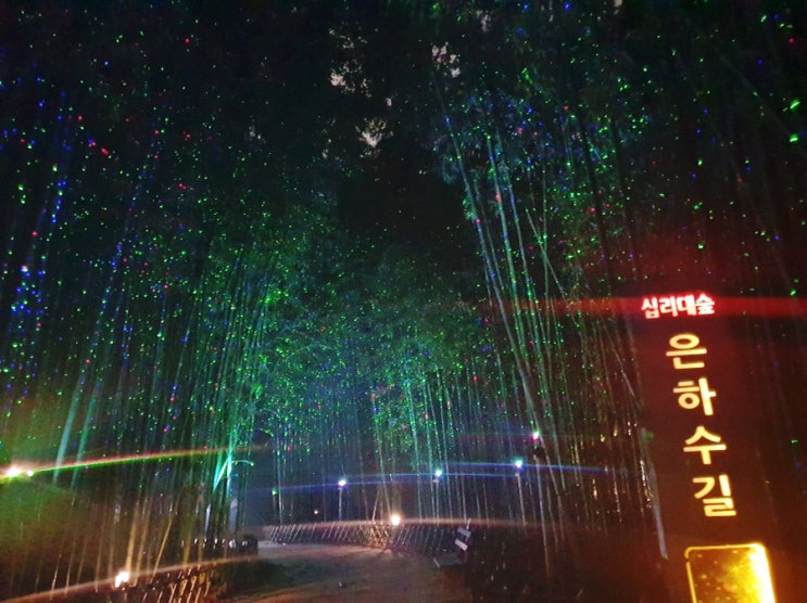  [울산가볼만한곳,울산여행코스] 태화강 십리대밭 은하수길