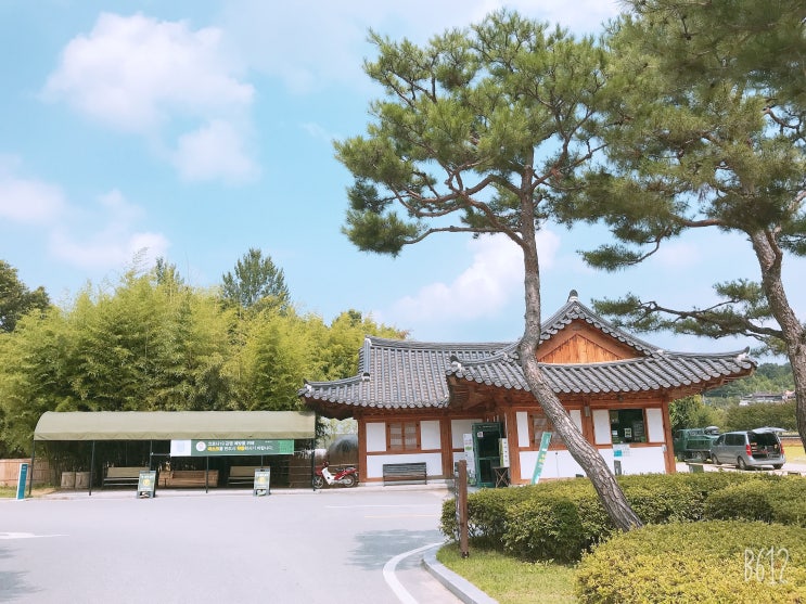  대전에서 담양-여수 여행(1) - 담양 죽녹원1편