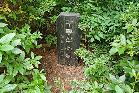 상수리막국수 이미지
