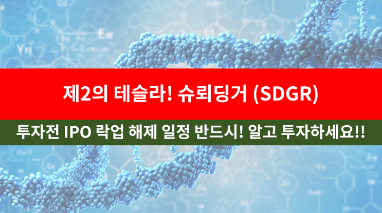  제2의 테슬라, 슈뢰딩거(SDGR) 비교 분석 및 락업해제일날 어떤일이 벌어질까?