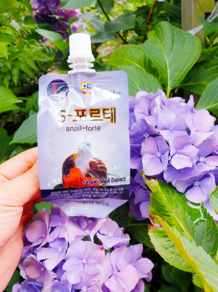  남성 원기회복 기력회복에 좋은 음양곽 먹인 달팽이즙! 에너지 충전 제대로~~~