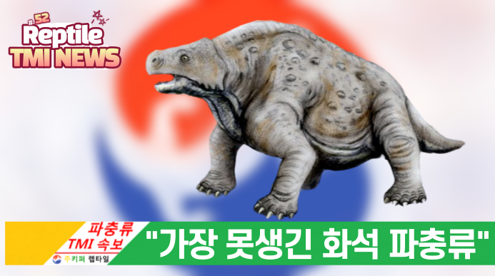  Reptile TMI NEWS (52회) - 가장 못생긴 파충류 화석