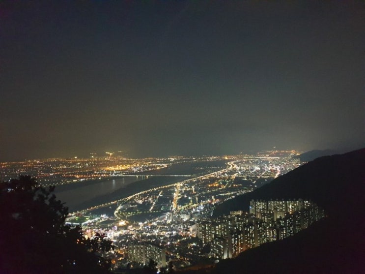 부산 산책길 구포무장애숲 유모차 휠체어도 간다 북구 산책길