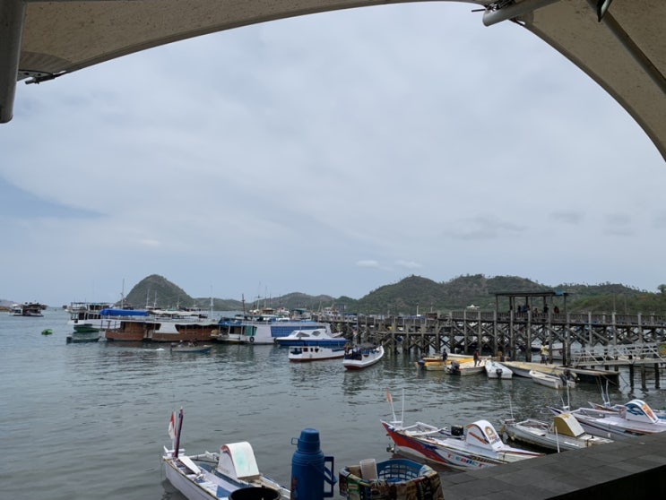  라부안 바조(La Buan Bajo), 인도네시아 2019.12.19 - 2019.12.22 (1)