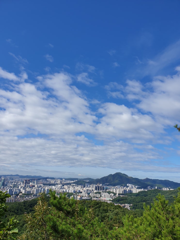  코로나가 바꾼 일상(3)_관악산 국기봉
