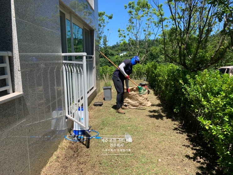  제주도 첨단과학단지 꿈에그린 아파트 조경 잔디관리 작업 !
