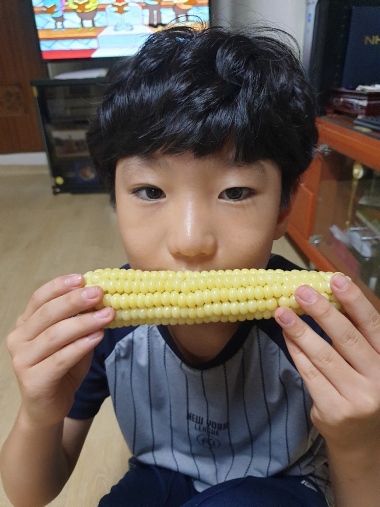  괴산대학찰옥수수 주문받아요~ [초당옥수수 판매완료]
