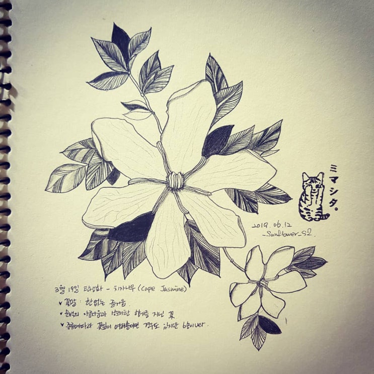  20190612
