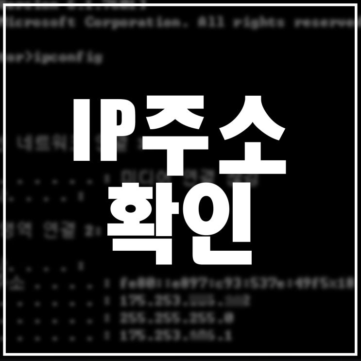  IP주소확인 빠르게 가능