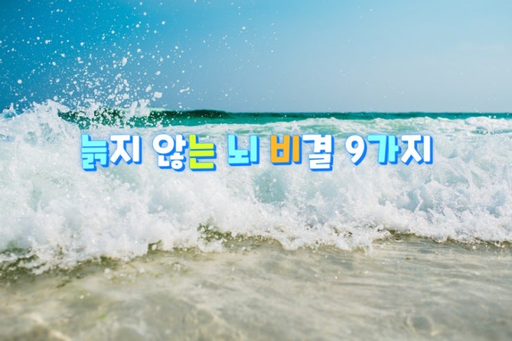 늙지 않는 뇌 비결 9가지 늙지 않는 뇌 비결 9가지