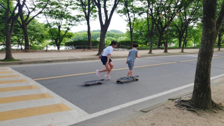 인천대공원 부분 폐쇄 인천대공원 자전거 인천대공원 보드타기 인천대공원 재 개방/코로나 수도권 인천 아이와 갈만한 곳