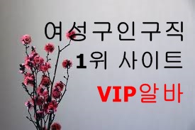  고소득알바 고액알바 야간알바 주간알바 당일알바 단기알바 바알바 마사지알바
