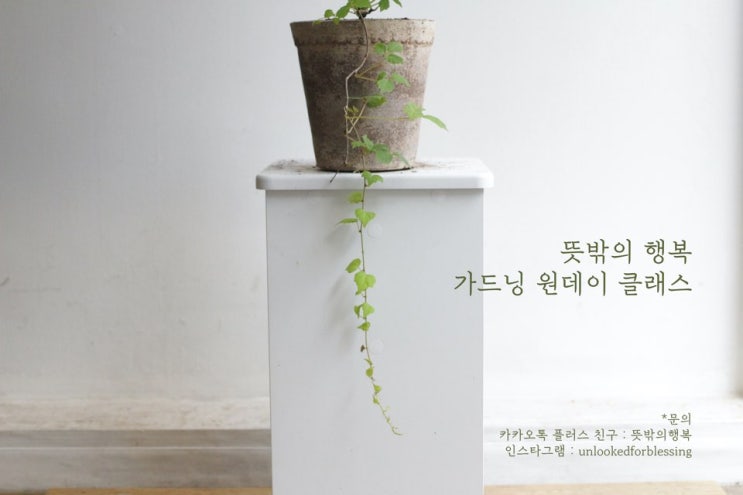  가드닝 원데이클래스_이태원경리단길