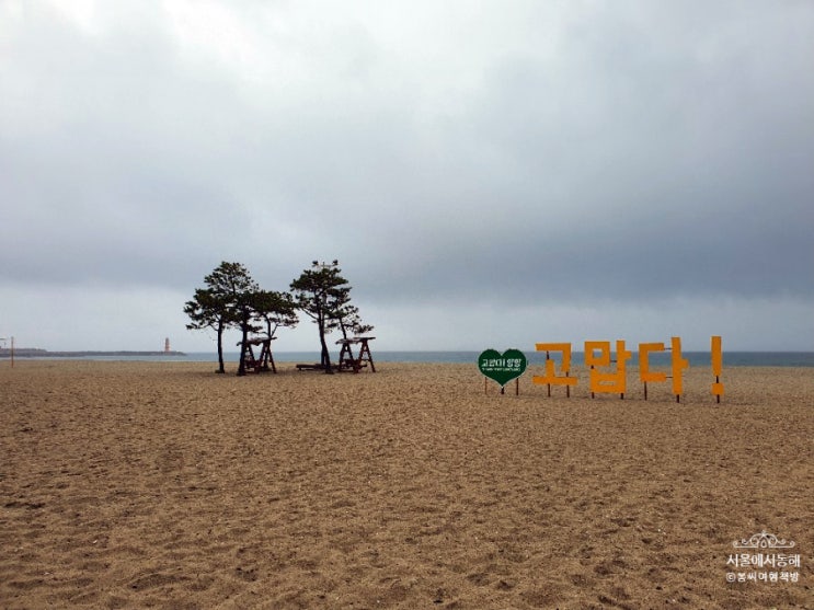  서울에서 동해 우리집 찾기 삼만리