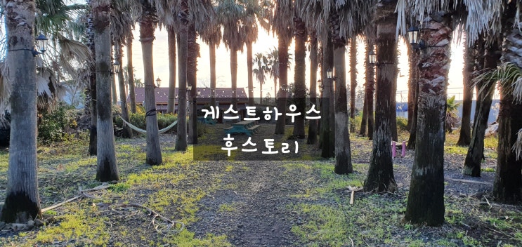  새소리가 아름다웠던 제주도 후스토리 게스트하우스