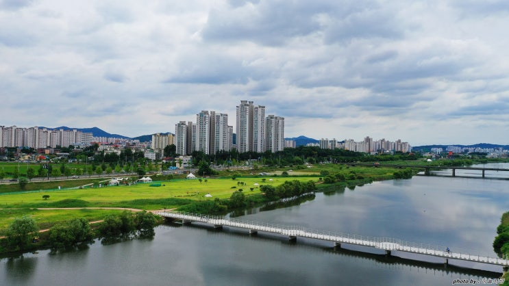  아산 곡교천 은행나무길.