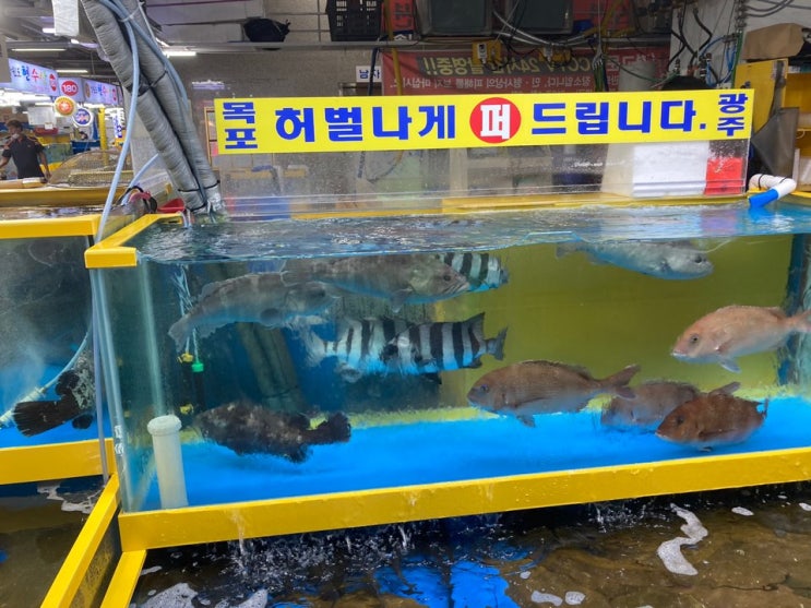  인천 소래포구종합어시장에서 회포장해서 워크샵 출발