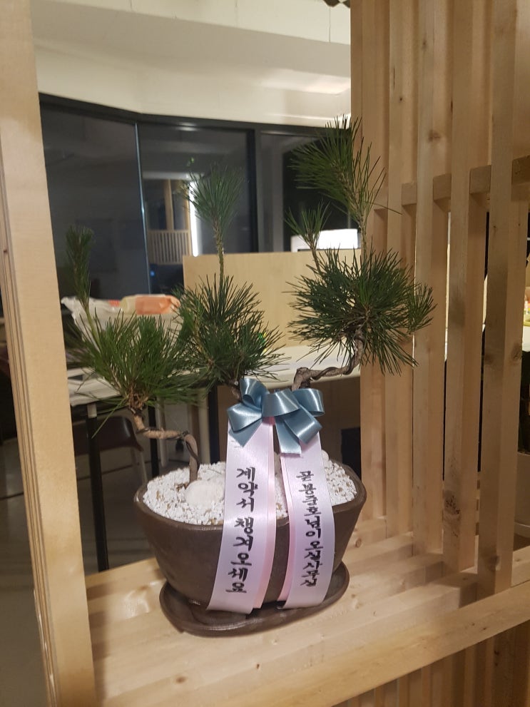  [광명 꽃집 개미꽃갤러리] 개업축하화분 인테리어로 대성공!